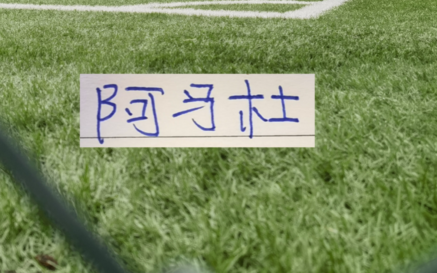 kaiyun-第一轮外援中场大腿 没想到前申花外援阿马杜回春了!